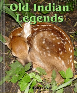 Cover Art for Old Indian Legends