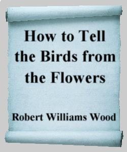 Cover Art for How to Tell the Birds from the Flowers