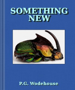 Cover Art for Something New