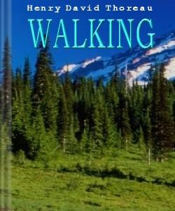 Cover Art for Walking