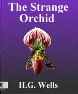 Cover Art for The Strange Orchid