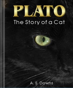 Cover Art for Plato: The Story of a Cat