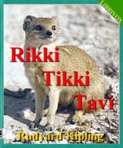 Cover Art for Rikki Tikki Tavi