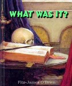 Cover Art for What Was It?