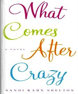Cover Art for What Comes After Crazy