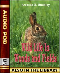 Audio Book Wild Life in Woods and Fields