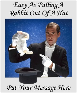 Advertisment The Rabbit out of the Hat